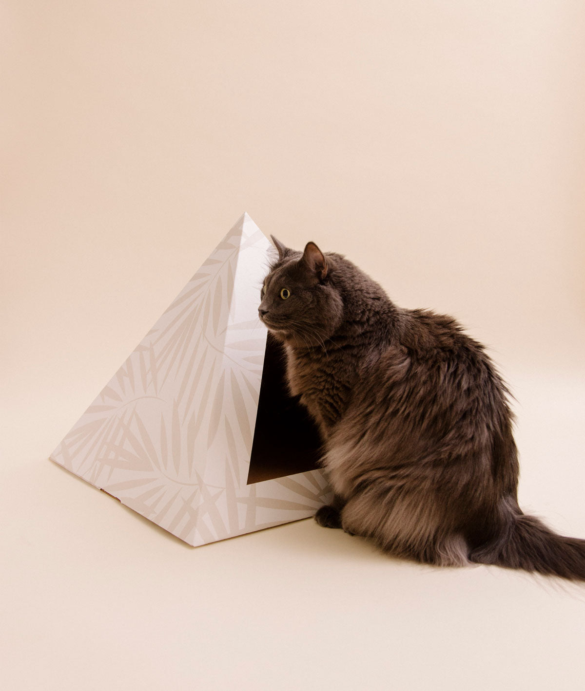Kitty Kardboard® 'Neutral Palm' Cat Pyramid