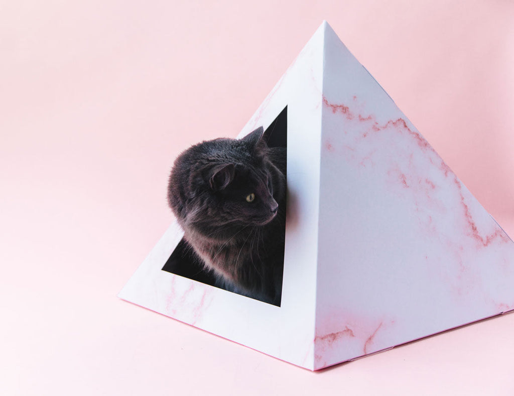 Kitty Kardboard 'Rose Quartz' Cat Pyramid