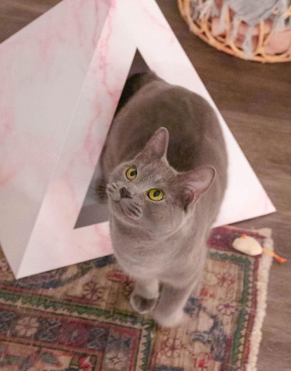 Kitty Kardboard 'Rose Quartz' Cat Pyramid