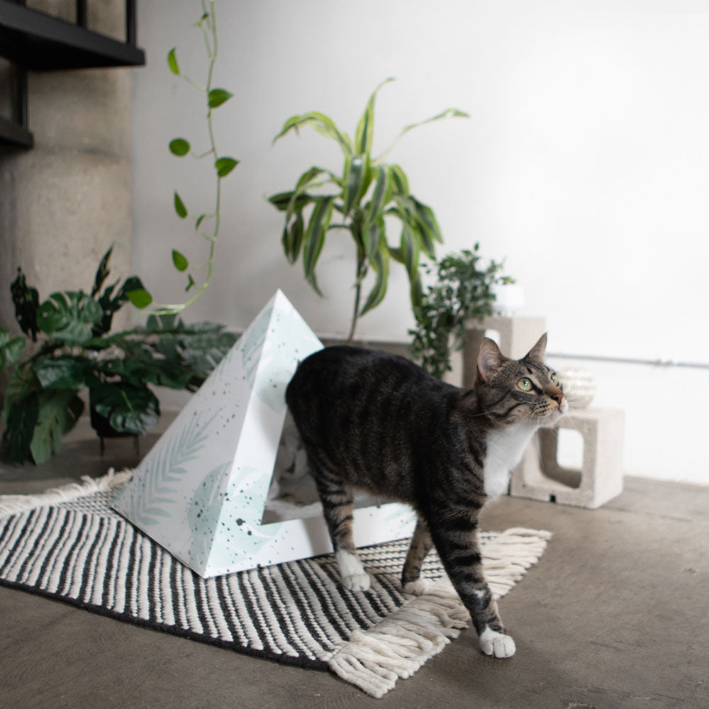 Kitty Kardboard® 'Oasis' Cat Pyramid
