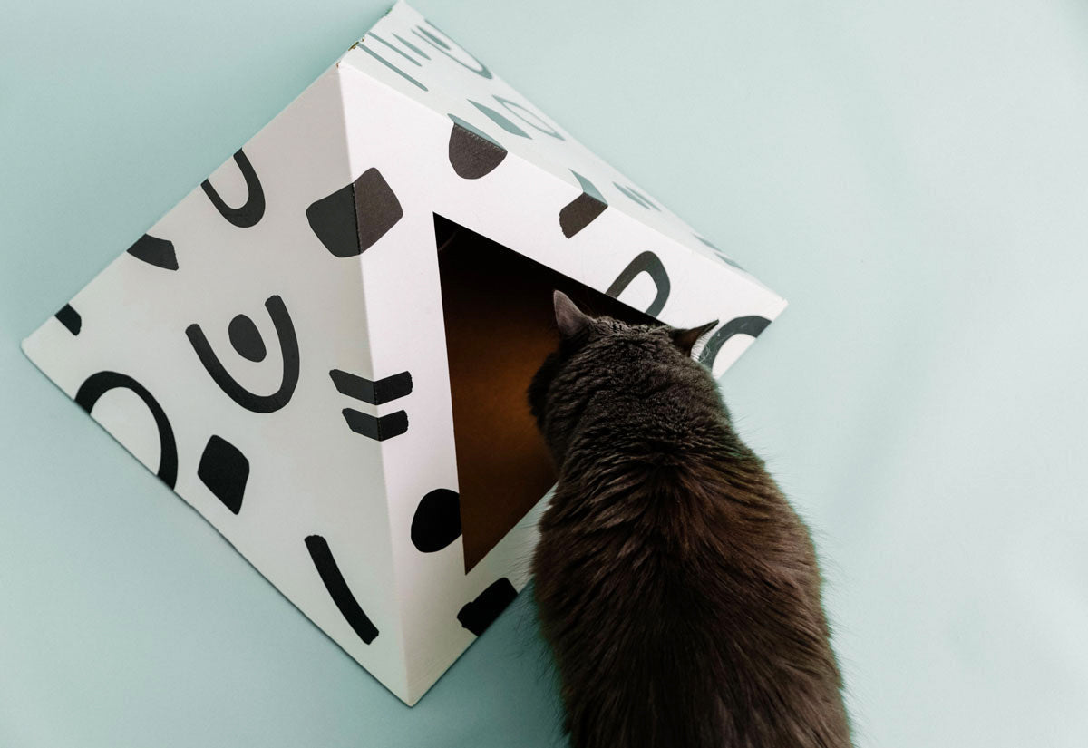 Kitty Kardboard® 'Doodle' Cat Pyramid