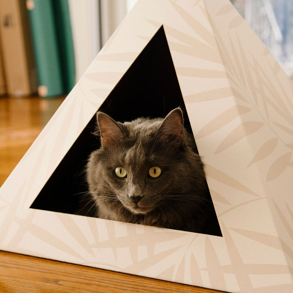 Kitty Kardboard® 'Neutral Palm' Cat Pyramid