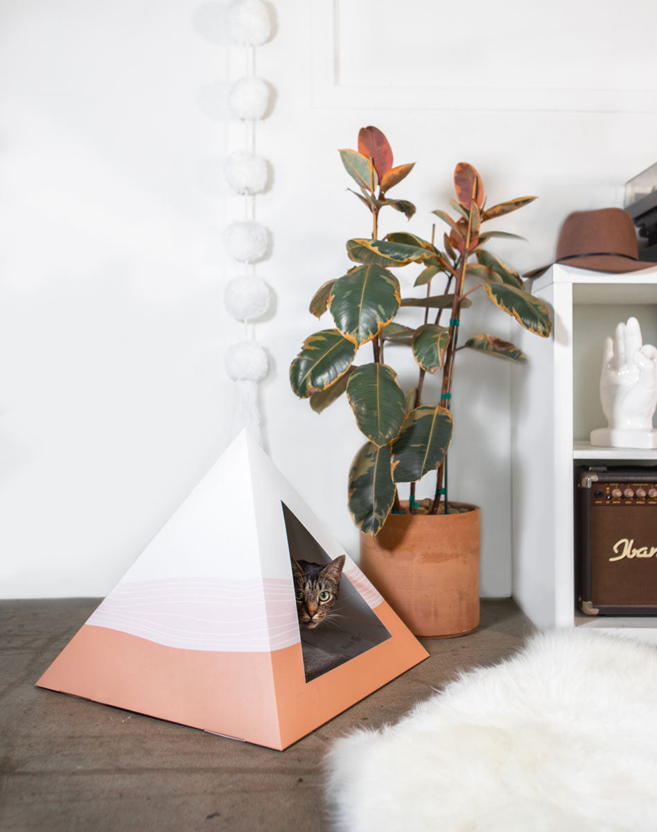 Kitty Kardboard® 'Wavey' Cat Pyramid