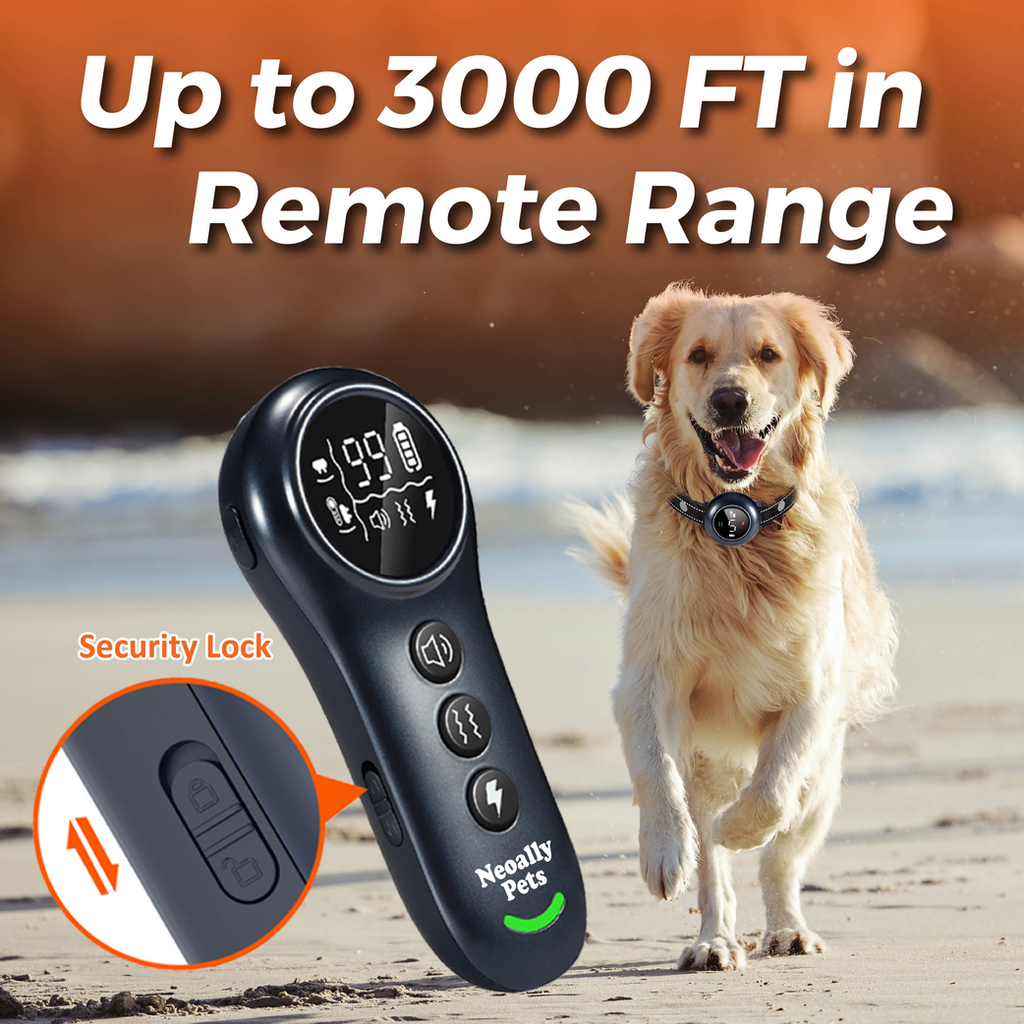 NeoAlly 2-in-1 Dog Training & Bark Control Collar | Automatic Barking Detection, Remote Shock, 5-150lbs Dogs | Rechargeable, Waterproof
