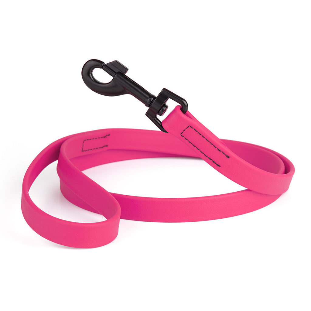 Biothane Waterproof Dog Leash, 4 ft