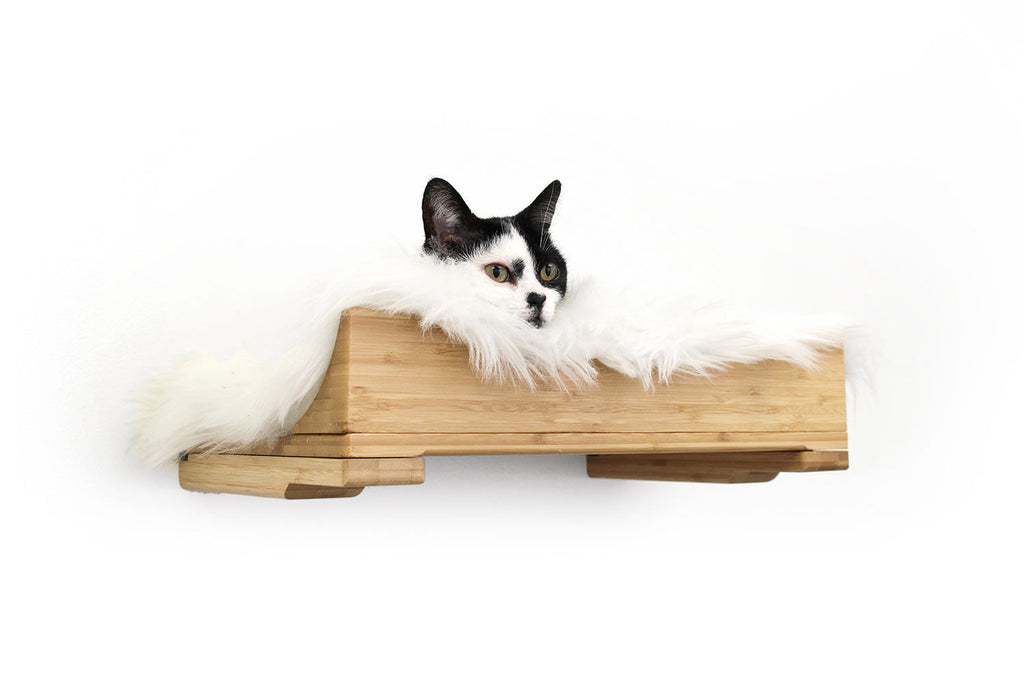 The Cat Nest Bed by Catastrophic Creations