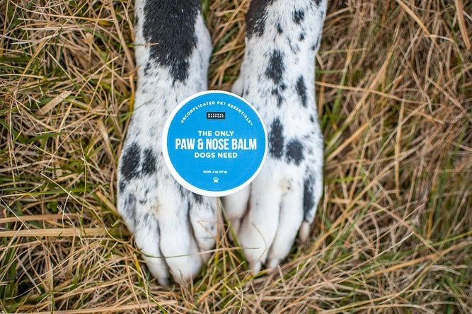 The Only Paw & Nose Balm Dogs Need - Made Only in USA