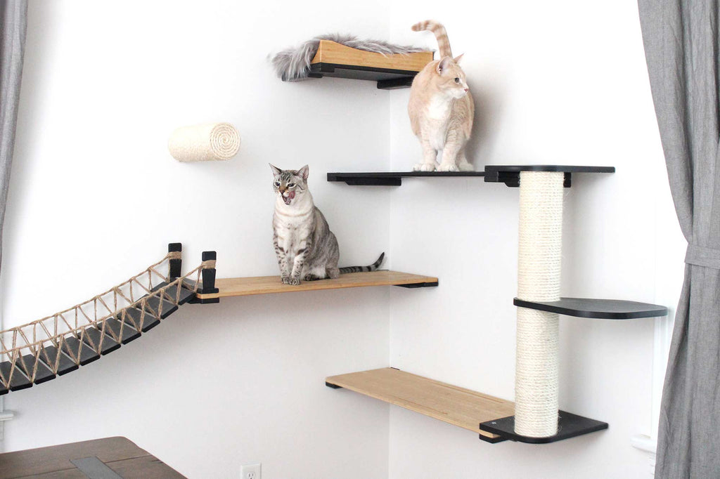 Catastrophic Creations Cat Bridge for Wall