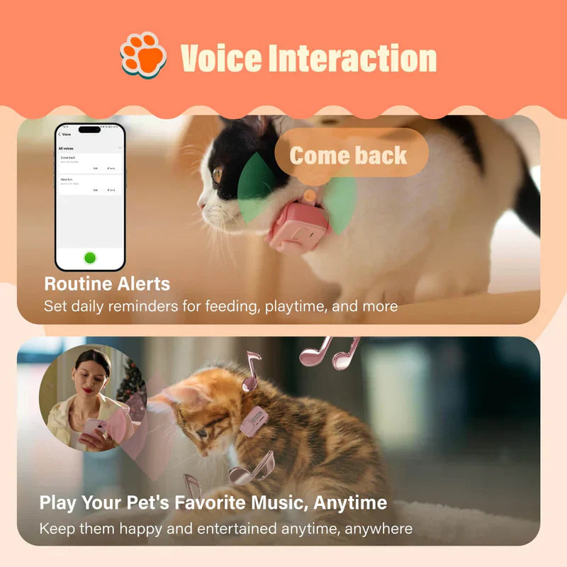 GlocalMe PetPhone – The First Satellite GPS Tracking Smartphone & Activity Tracker Designed For Your Pet