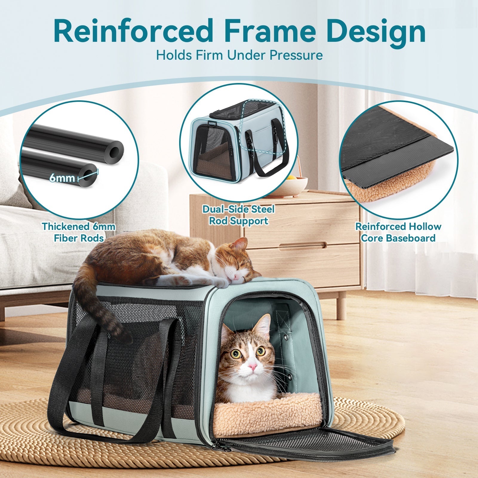 PETSFIT backpack pet carrier airline