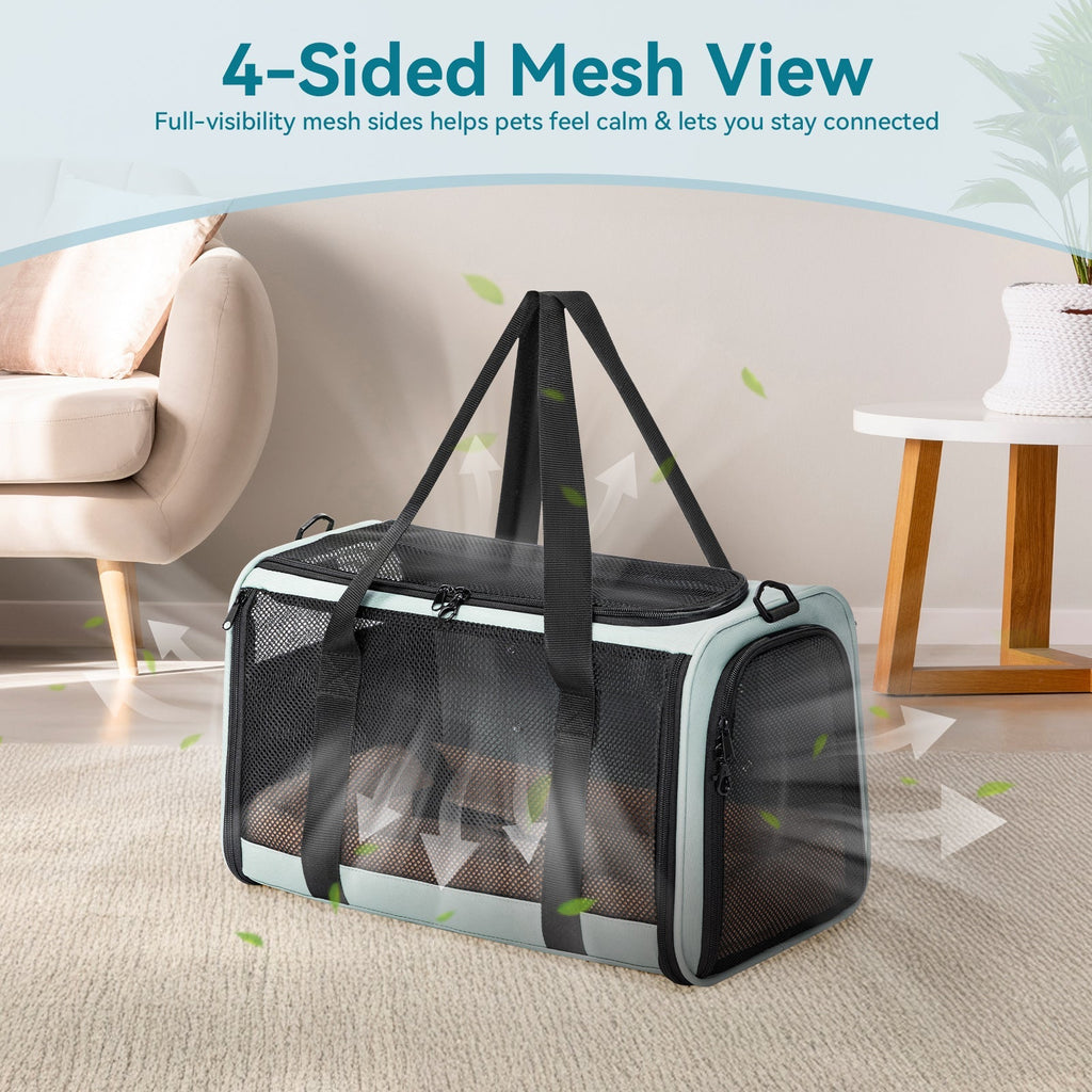 PETSFIT backpack pet carrier airline