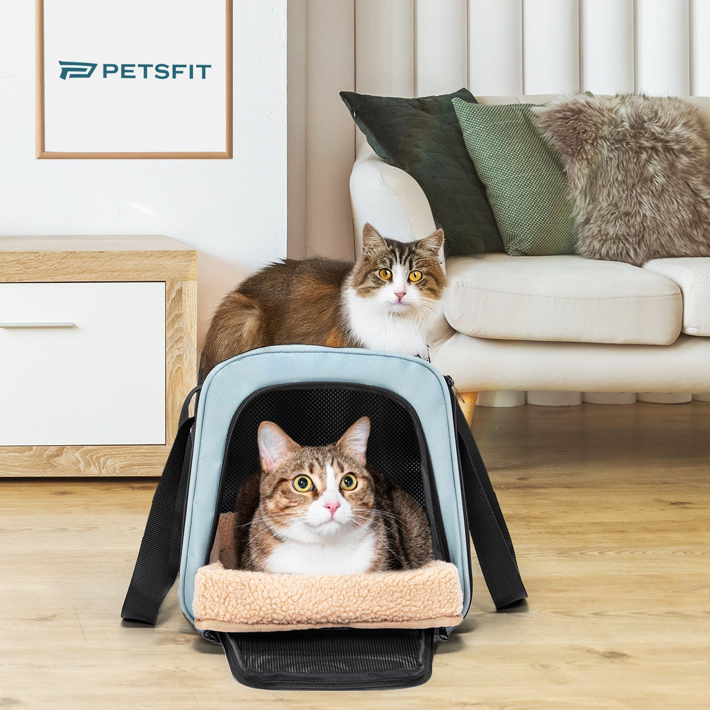 PETSFIT backpack pet carrier airline