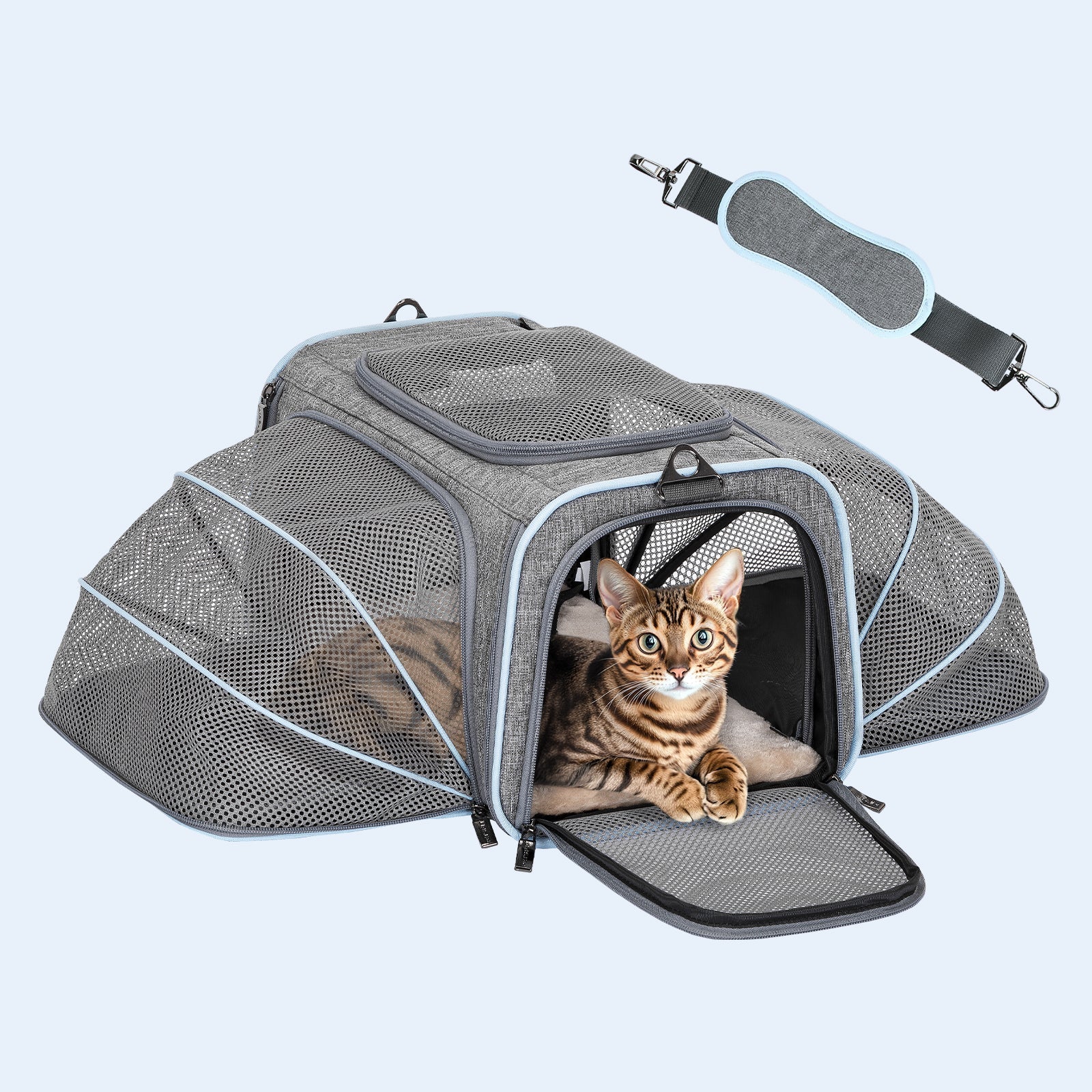 PETSFIT Expandable Cat Carrier Small Dog Carriers Airline with 2 Extension