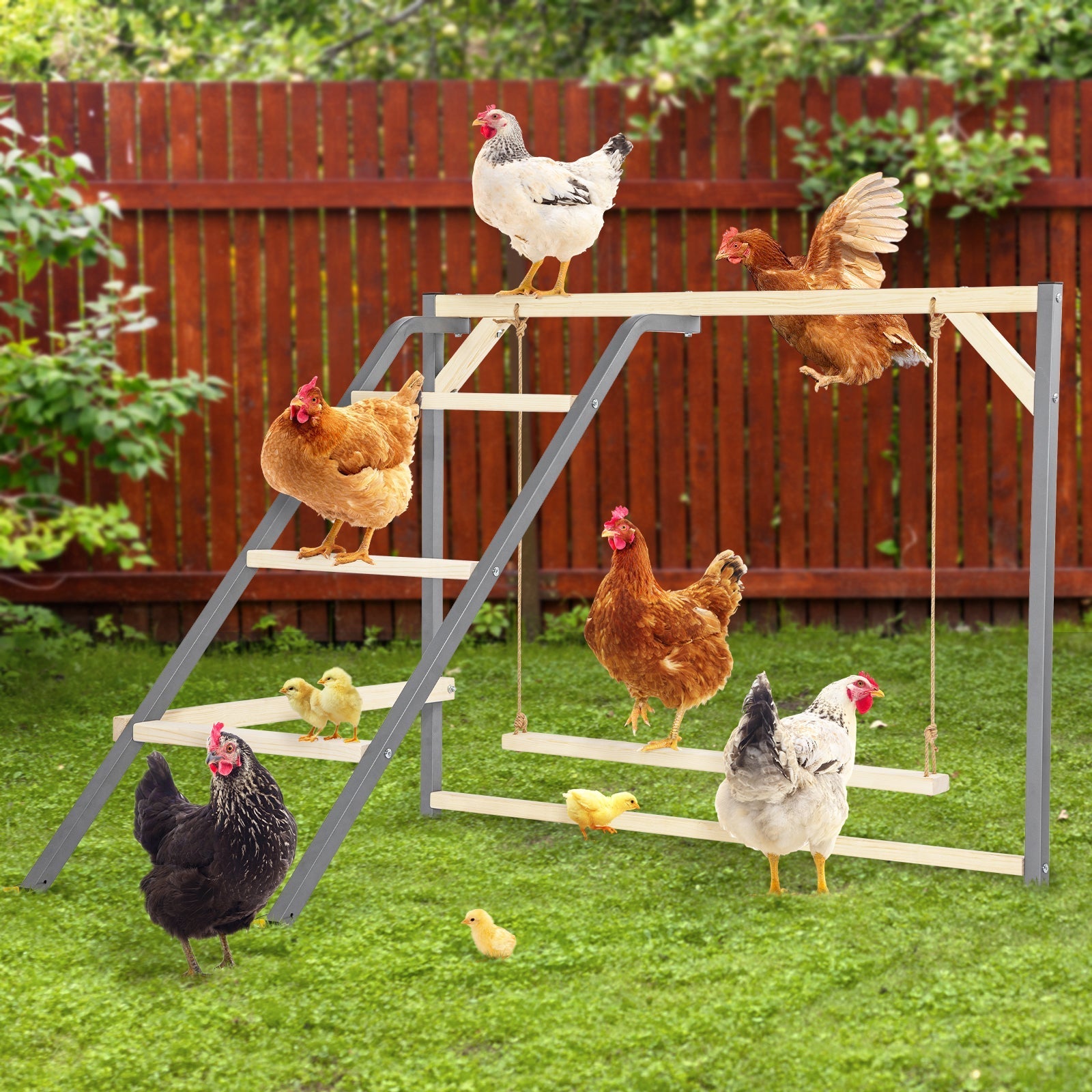 PETSFIT Wooden Chicken Perch with Swing – Durable Roosting Bar for Coops and Farms