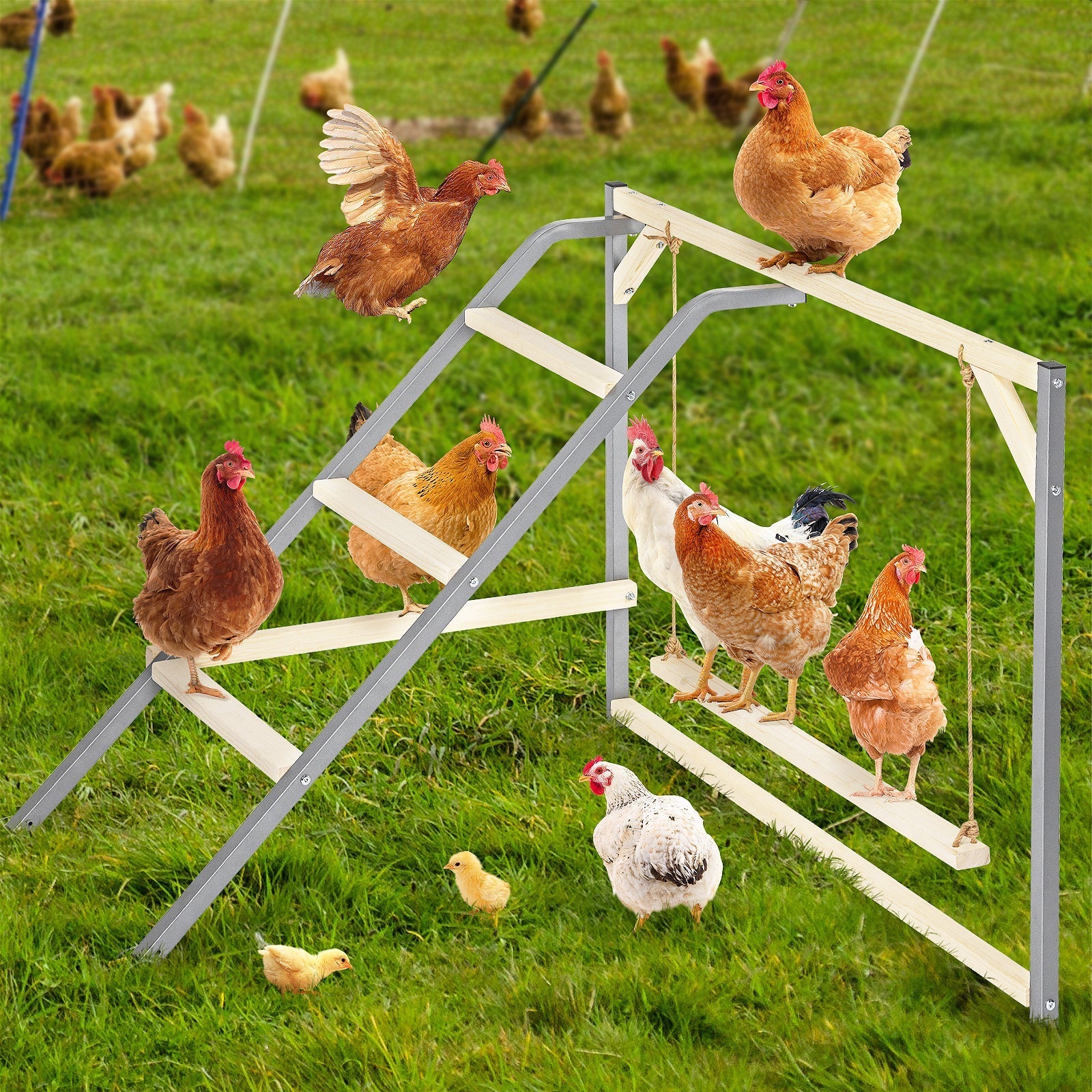 PETSFIT Wooden Chicken Perch with Swing – Durable Roosting Bar for Coops and Farms