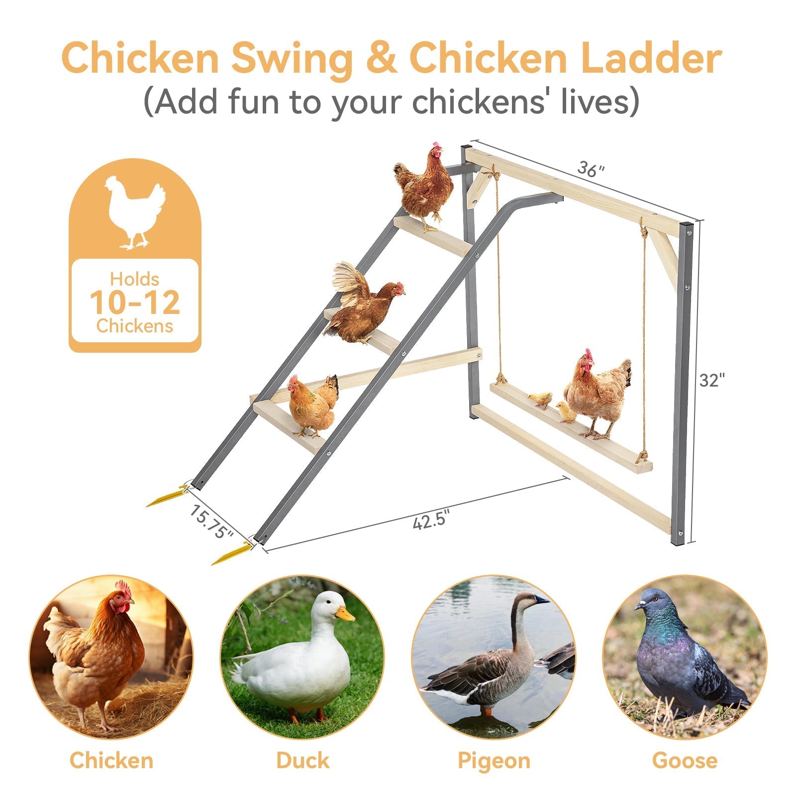 PETSFIT Wooden Chicken Perch with Swing – Durable Roosting Bar for Coops and Farms