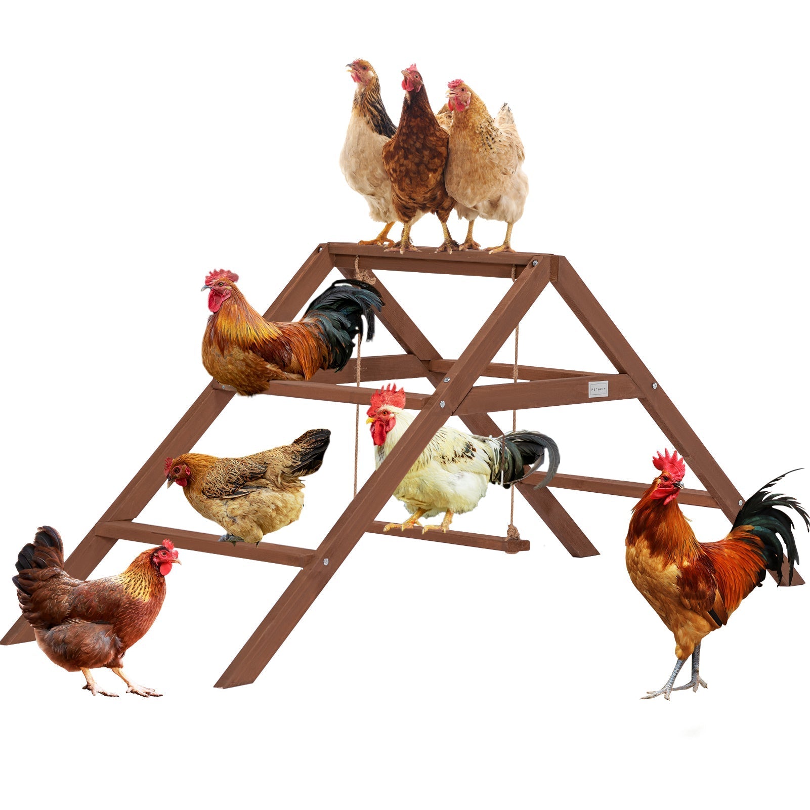 PETSFIT Chicken Swing Toys for Coop Accessories 5 Chicken Perches Wooden