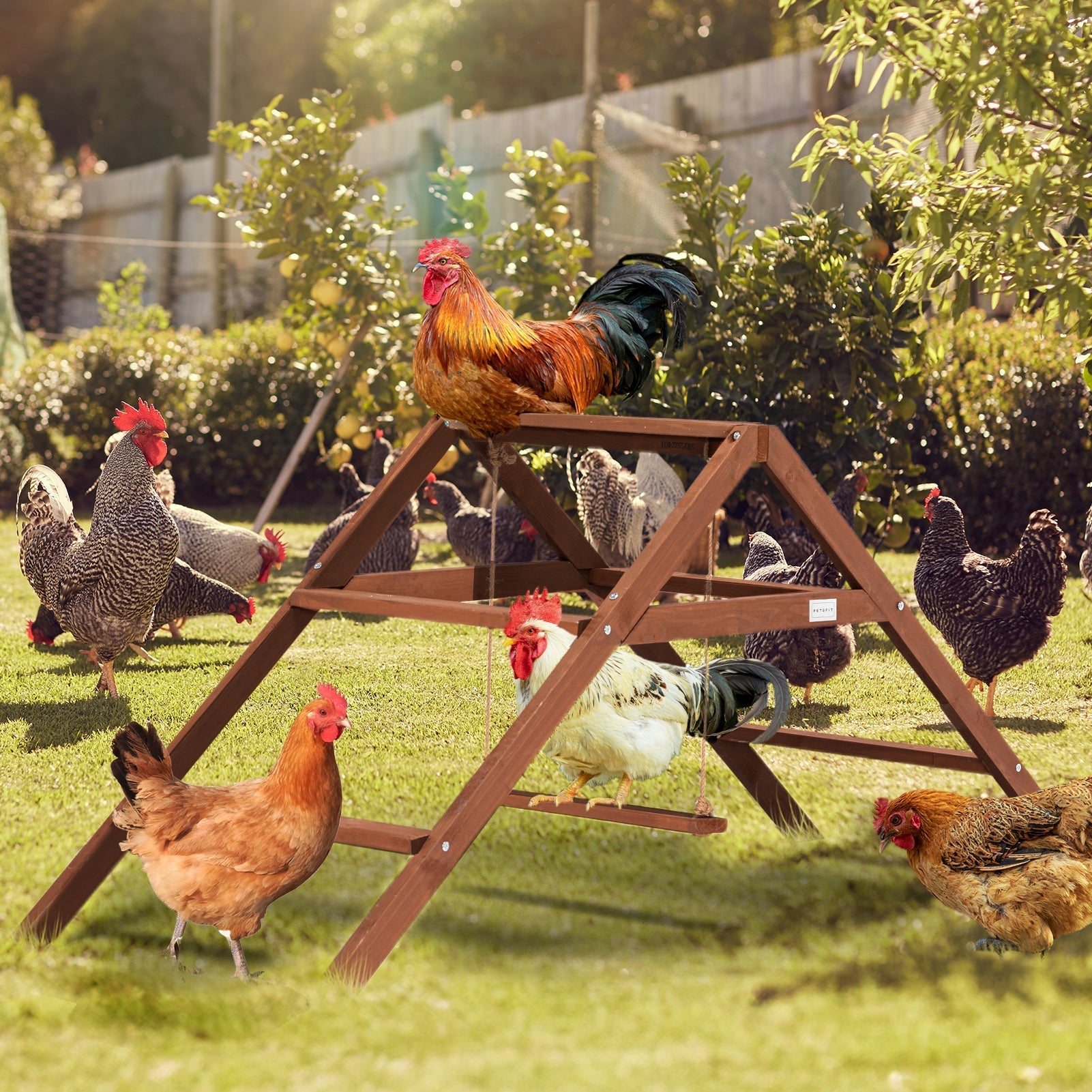 PETSFIT Chicken Swing Toys for Coop Accessories 5 Chicken Perches Wooden