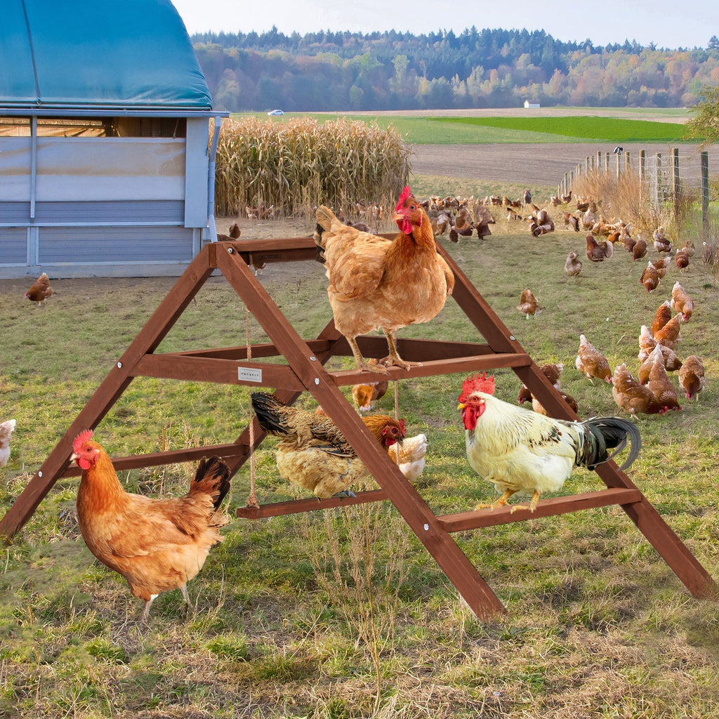 PETSFIT Chicken Swing Toys for Coop Accessories 5 Chicken Perches Wooden