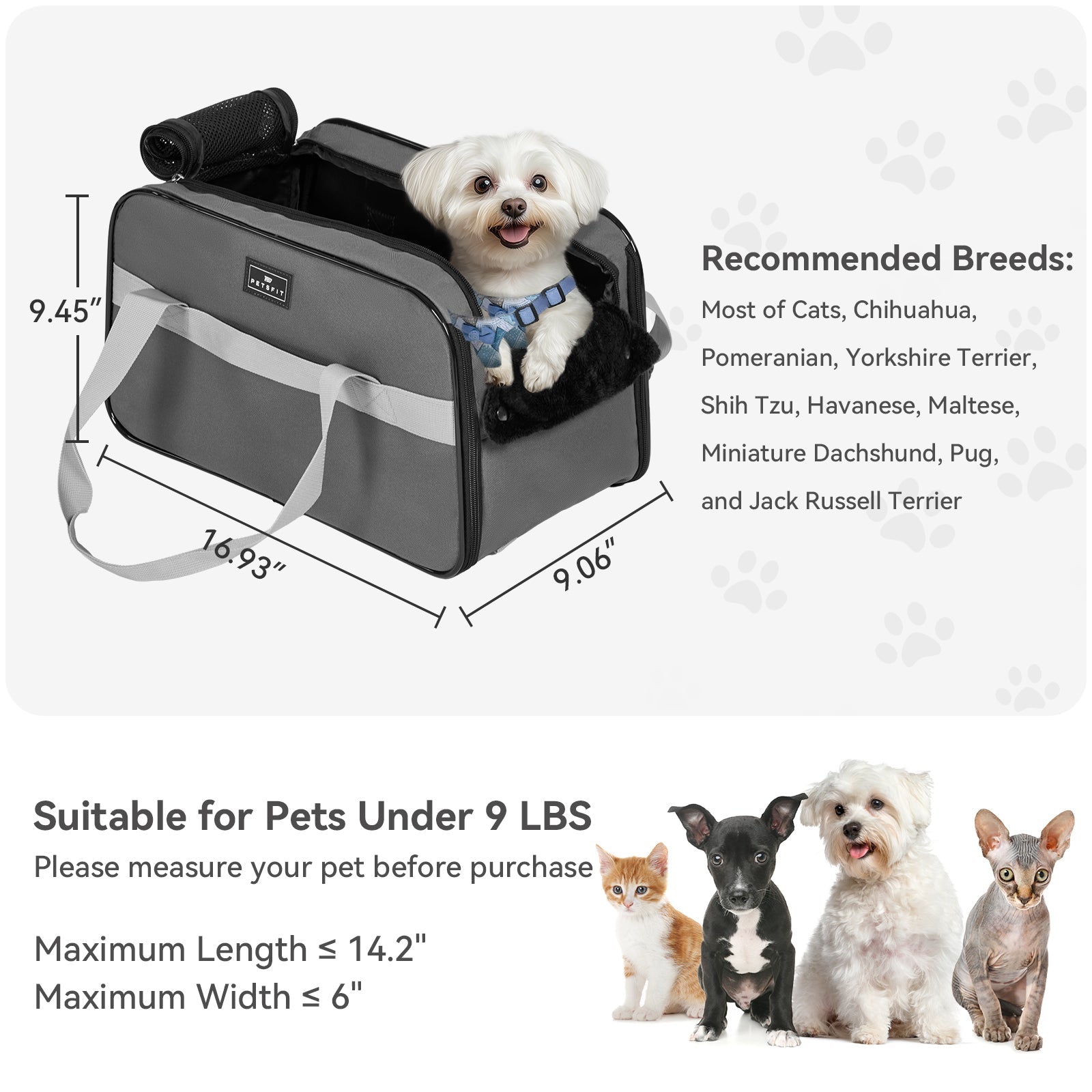 PETSFIT Multipurpose Console Dog Car Seat