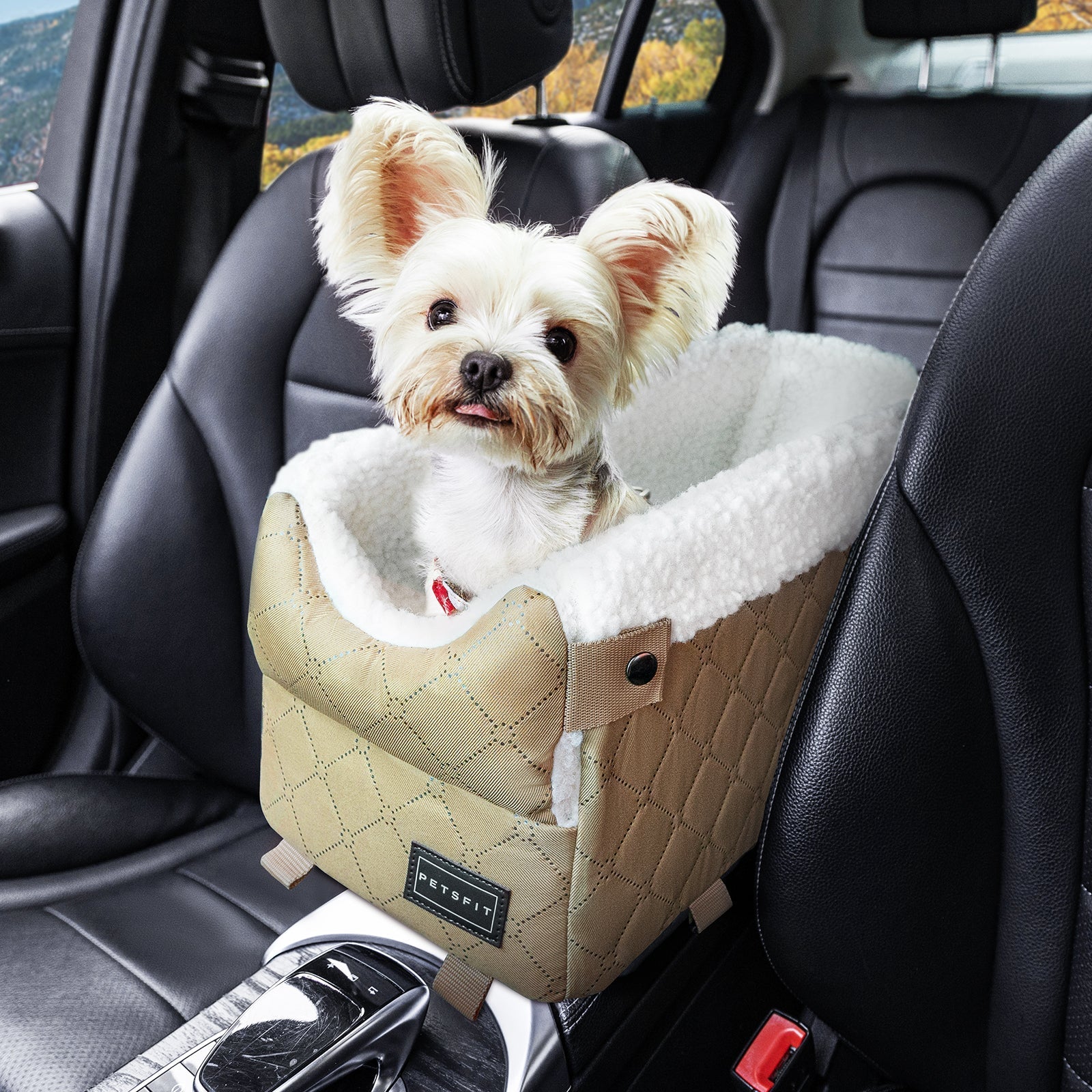 Petsfit Console Dog Car Seat  for Small Dogs  up to 8 lbs