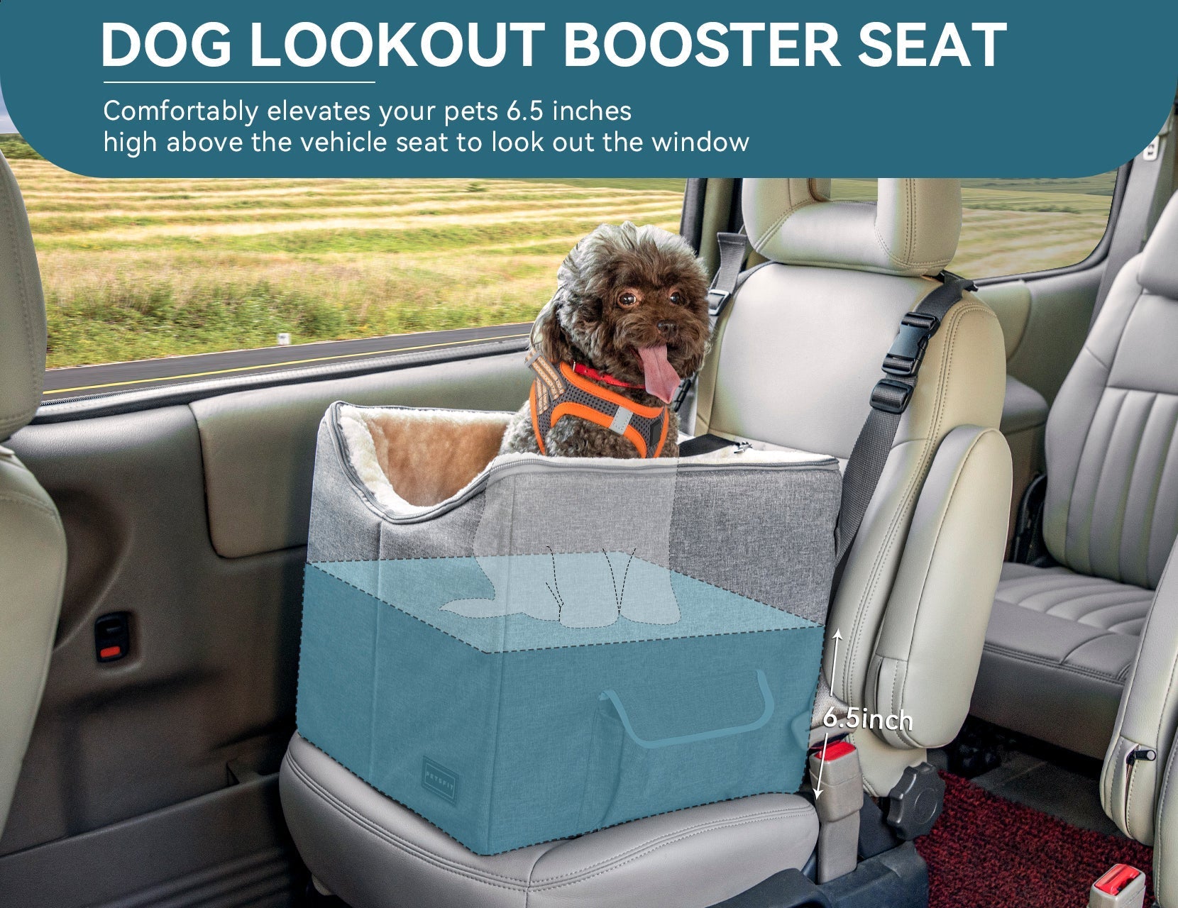 PETSFIT Dog Booster Car Seat For Pet Travel with Safety Belt