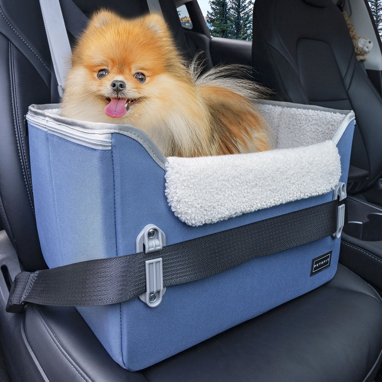 PETSFIT Dog Car Seats for Small Dogs Puppy Stable Pet Car Seat