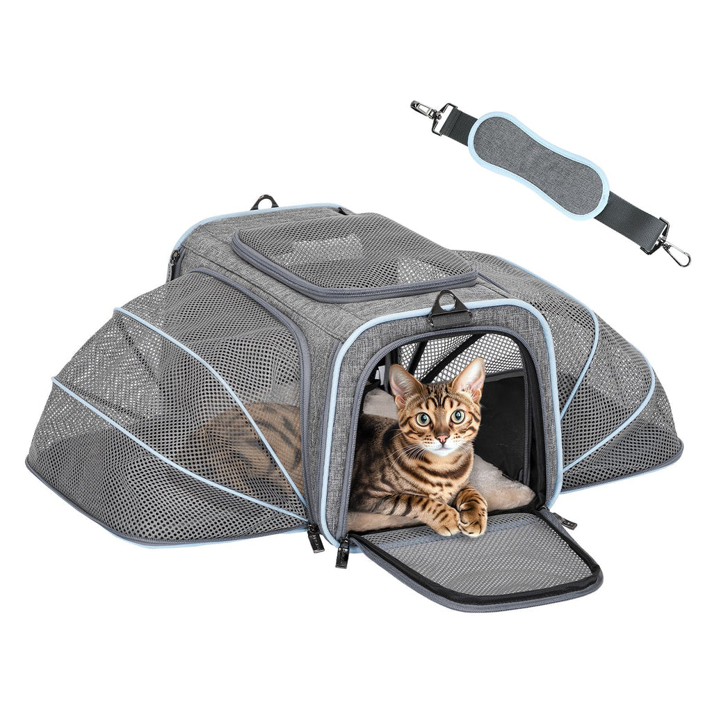 PETSFIT Expandable Cat Carrier Small Dog Carriers Airline with 2 Extension