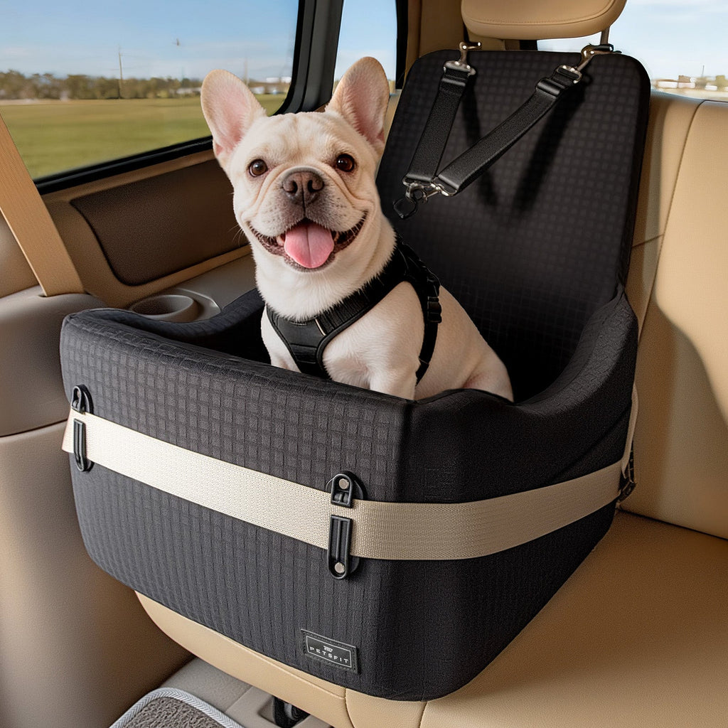 PETSFIT Patented Safety Buckle Memory Foam Dog Booster Car Seat for Medium Dogs