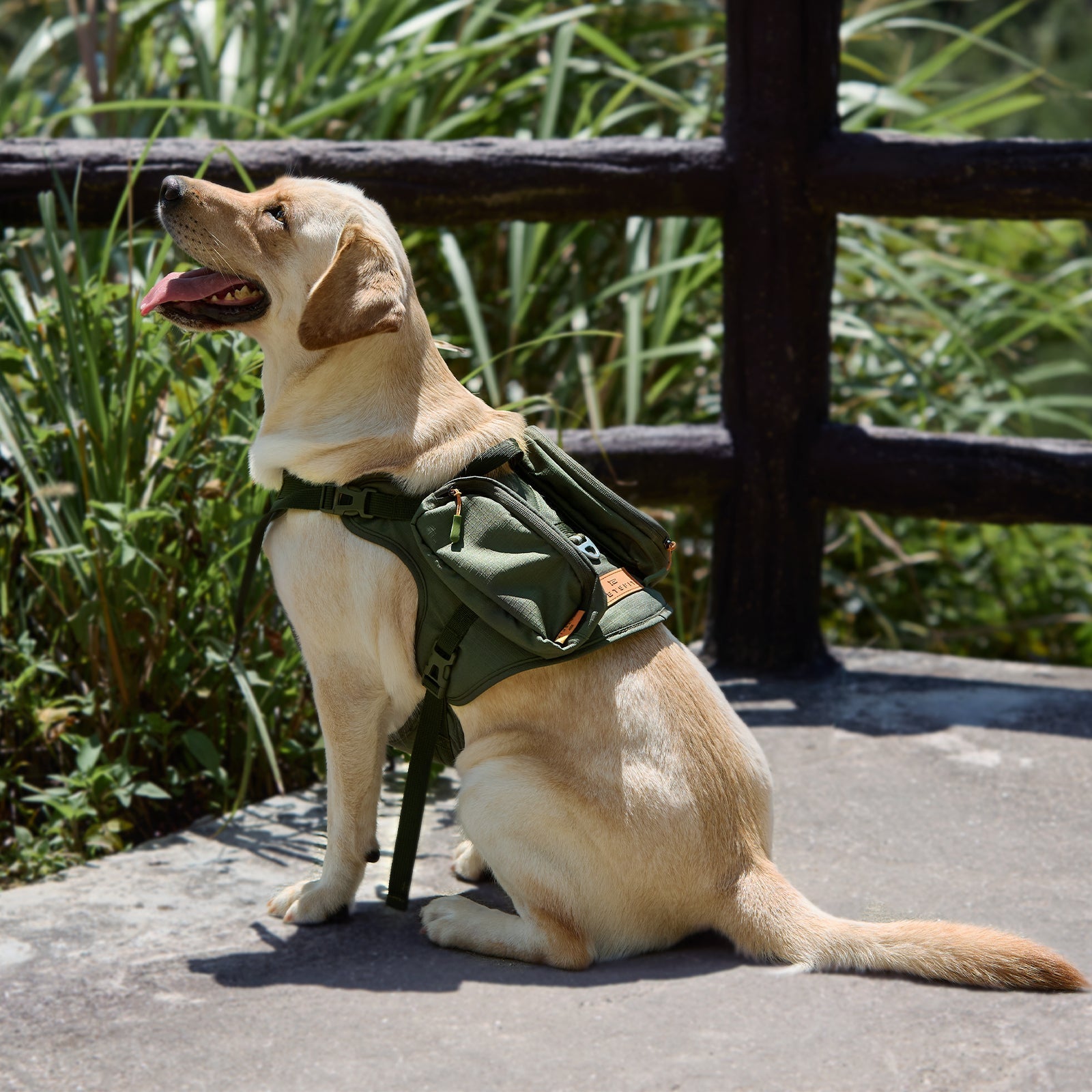 PETSFIT WILDPATH Saddle Bag Dog Harness for Large Dogs