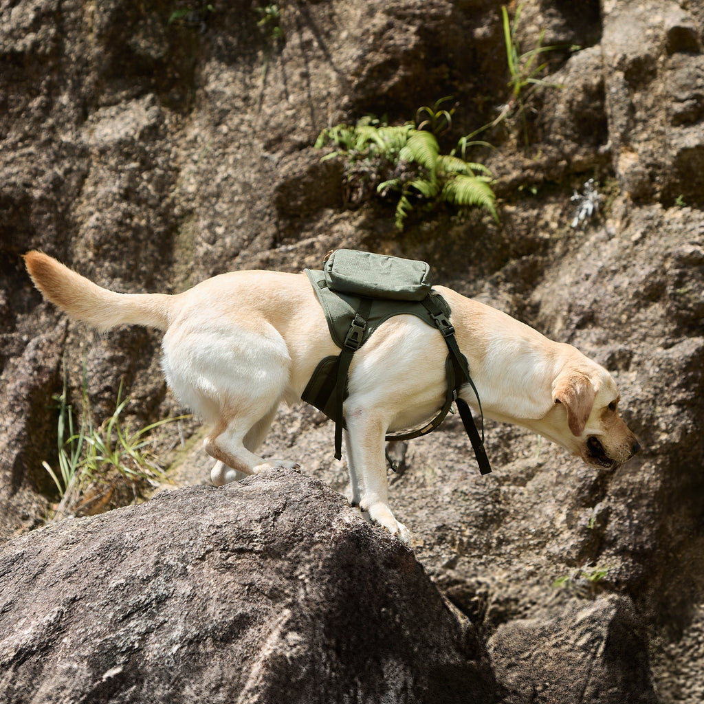 PETSFIT WILDPATH Saddle Bag Dog Harness for Large Dogs