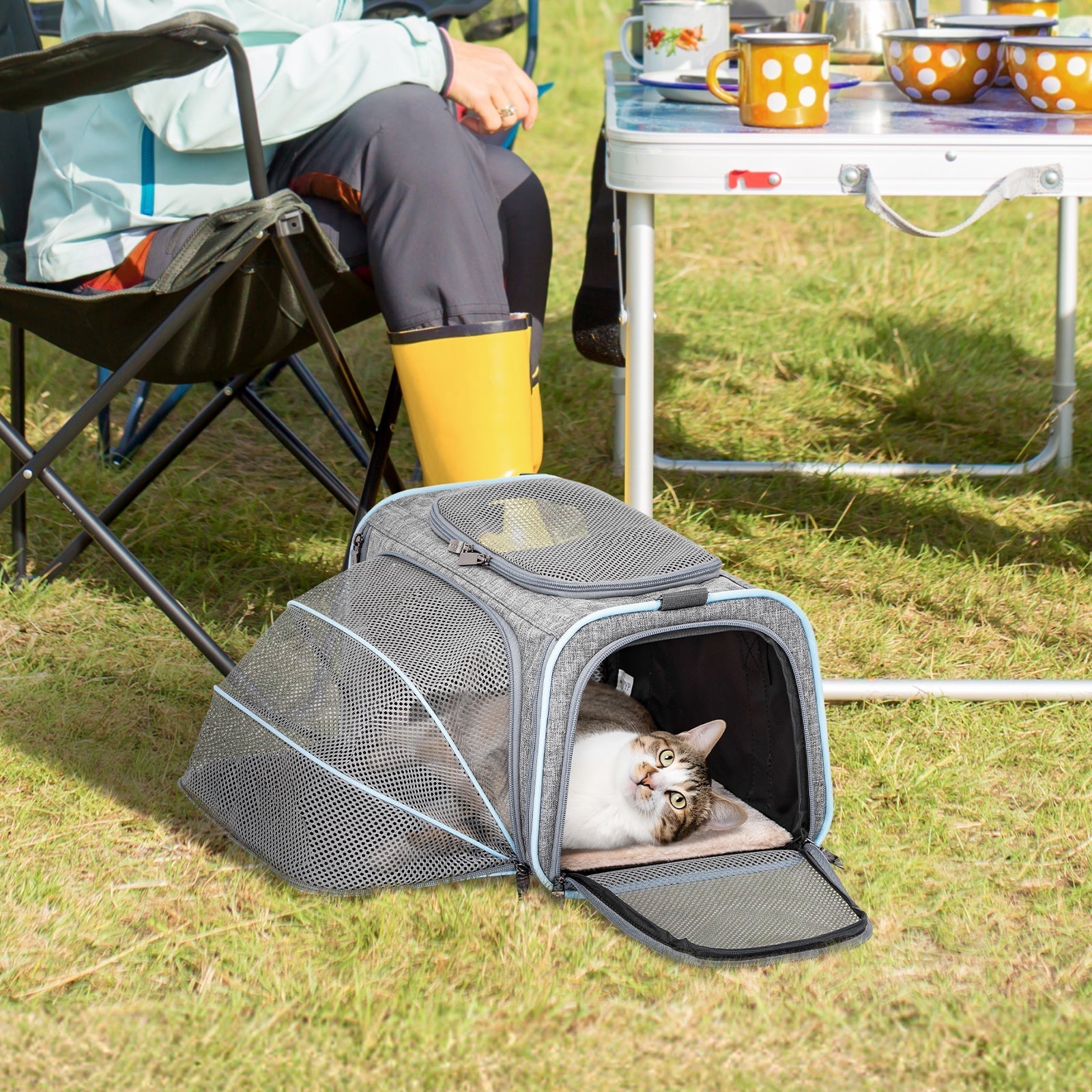 PETSFIT Cat Carrier Dog Carrier Expandable