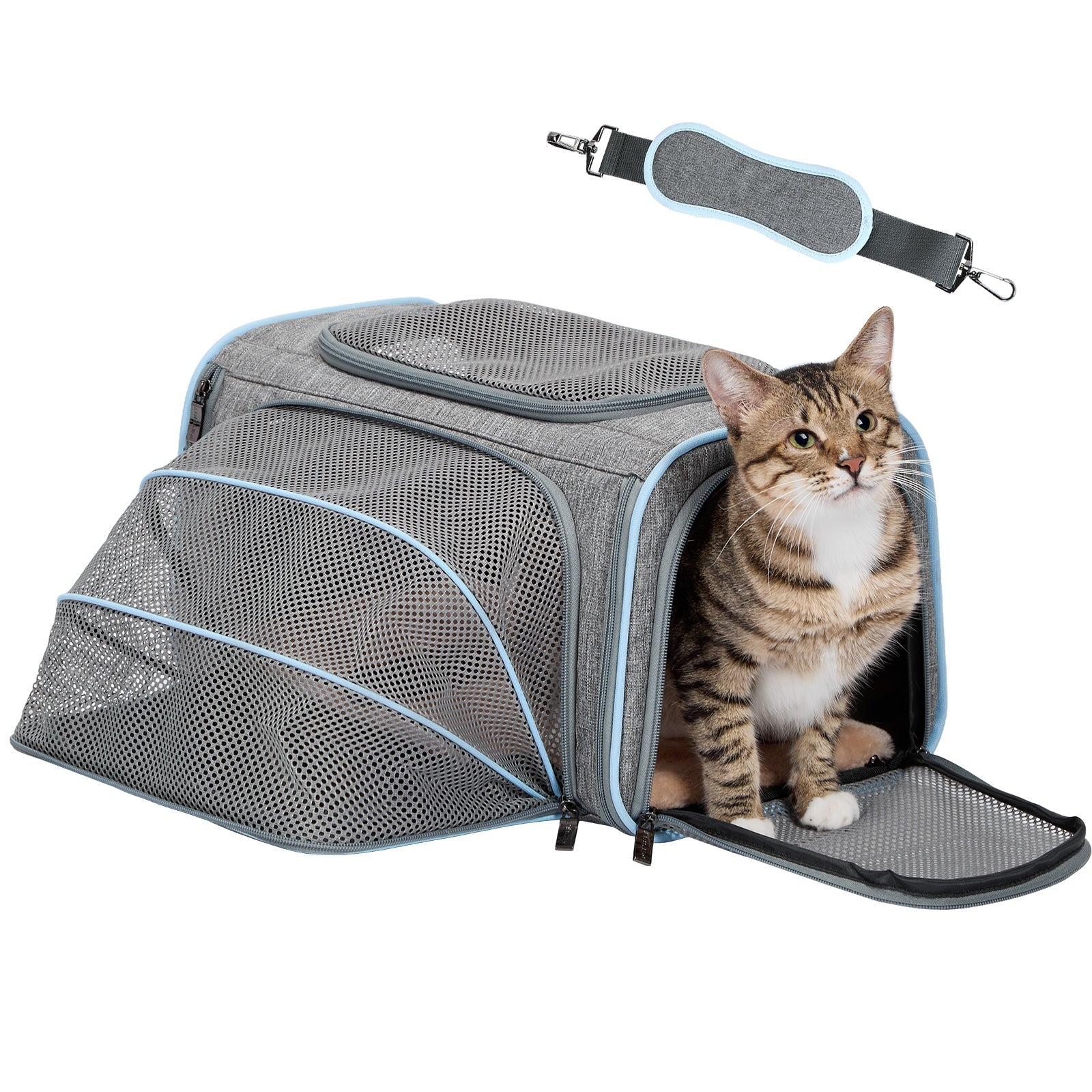 PETSFIT Cat Carrier Dog Carrier Expandable