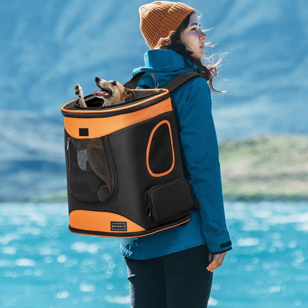 PETSFIT Soft Pet Backpack Carrier for Hiking