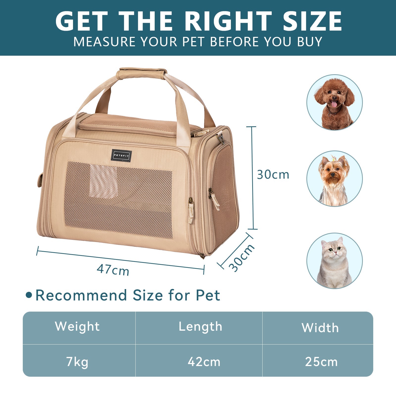 PETSFIT Foldable Pet Carrier for Cats and Small Dogs – Soft-Sided Travel Bag for Car