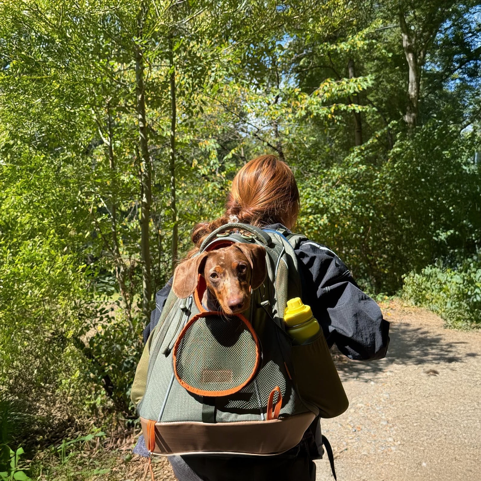 PETSFIT WILDPATH Pet Carrier Backpack for Hiking with Waterproof TPU Base