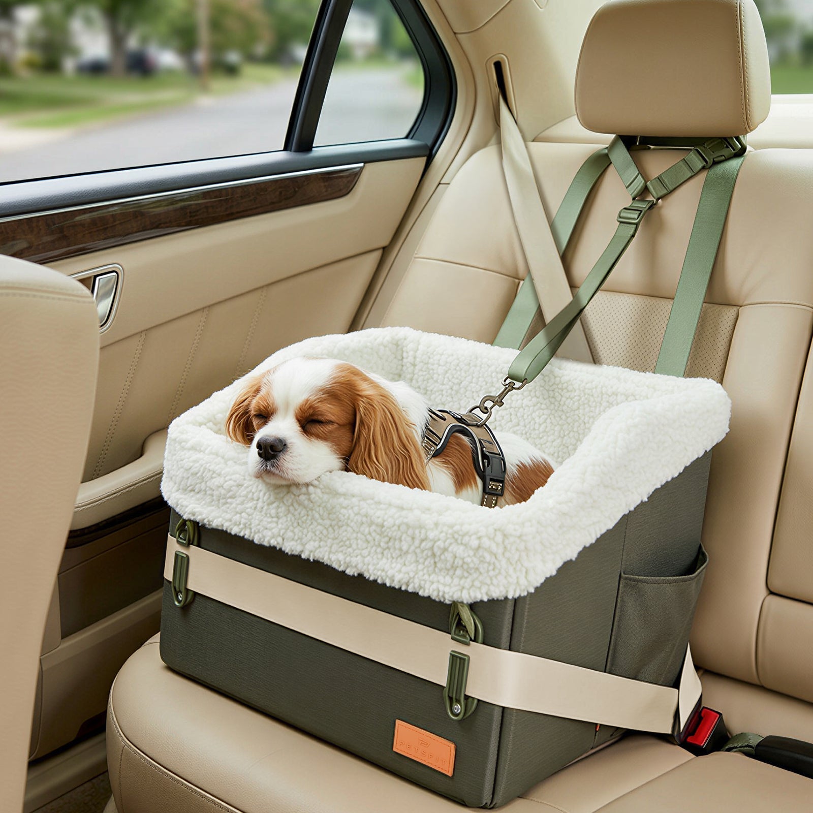 PETSFIT WILDPATH Dog Car Booster Seat with Hidden Storage for Small & Medium Dogs