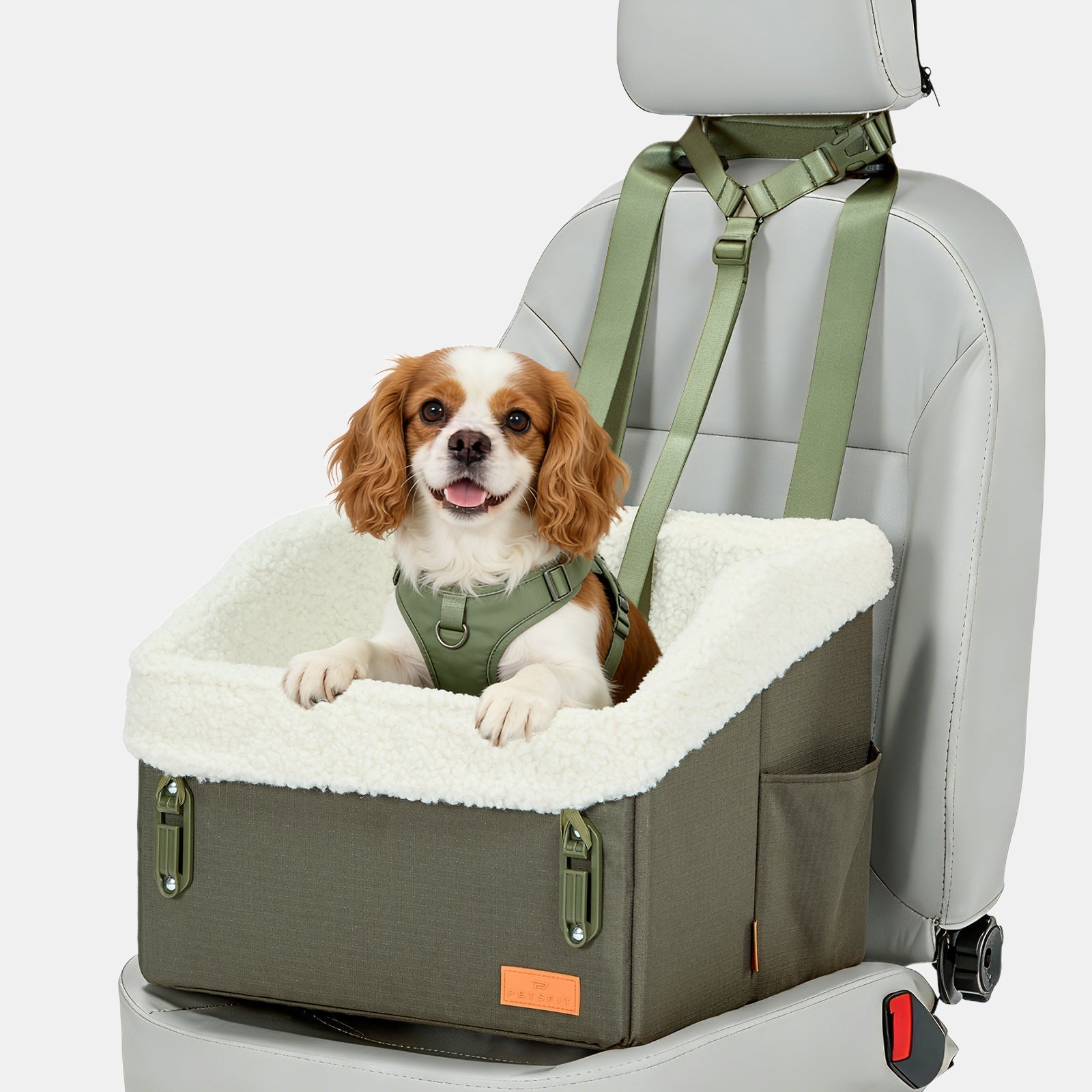 PETSFIT WILDPATH Dog Car Booster Seat with Hidden Storage for Small & Medium Dogs