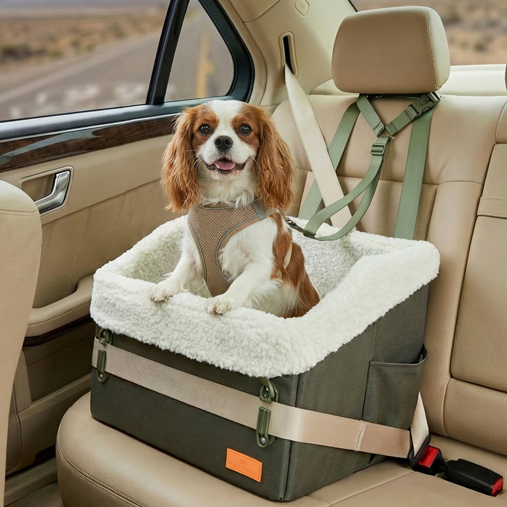 PETSFIT WILDPATH Dog Car Booster Seat with Hidden Storage for Small & Medium Dogs