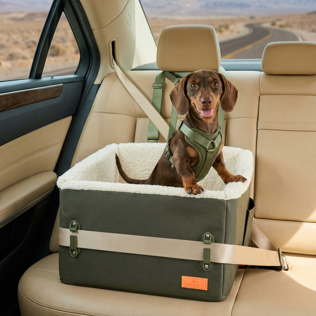 PETSFIT WILDPATH Elevated Dog Car Booster Seat for Small & Medium Dogs
