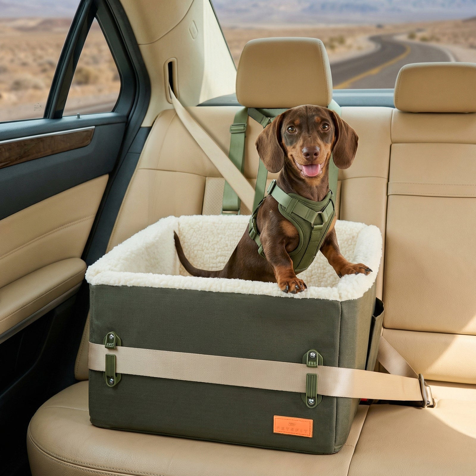 PETSFIT WILDPATH Elevated Dog Car Booster Seat for Small & Medium Dogs