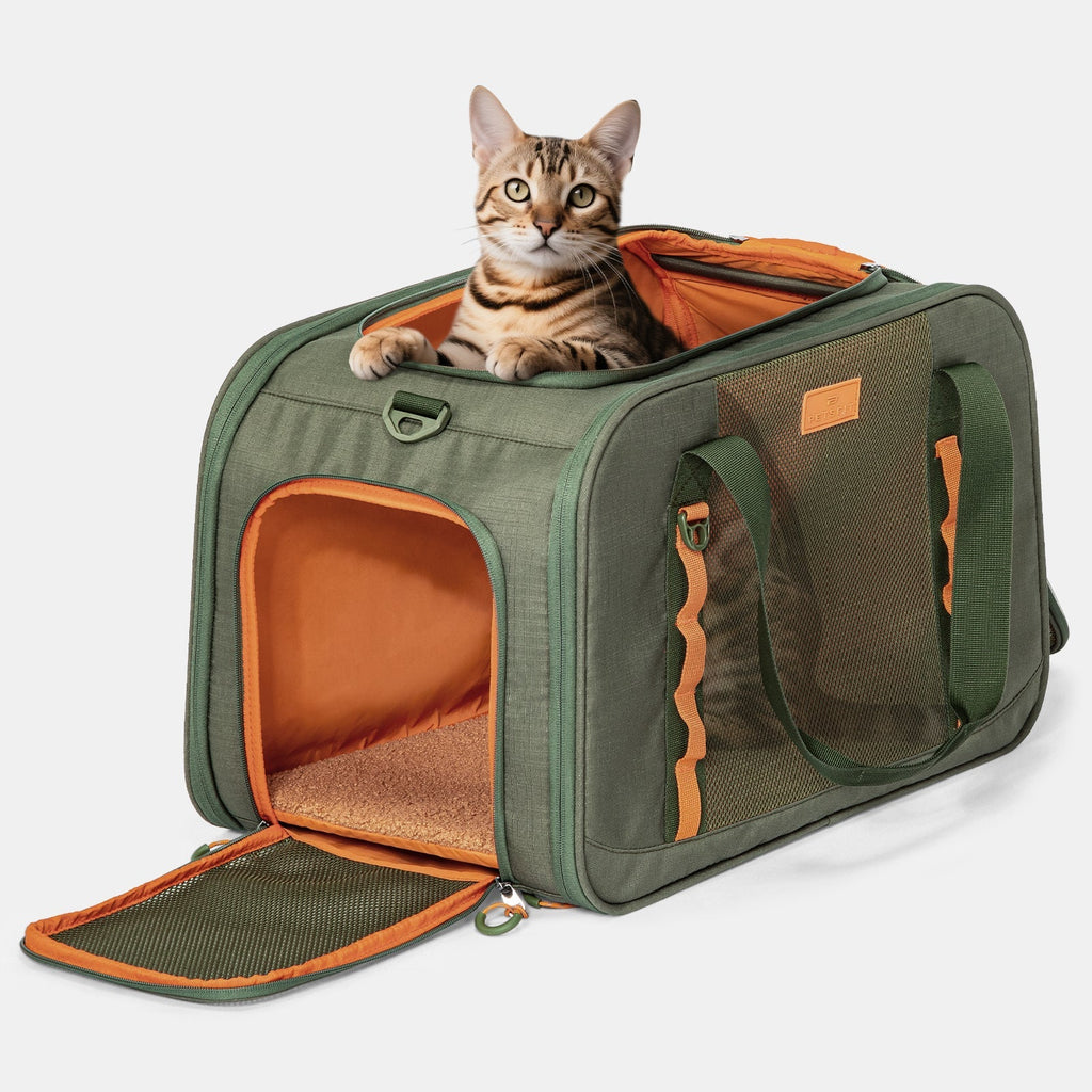 PETSFIT WILDPATH Pet Travel Carrier for Small Dogs & Cats