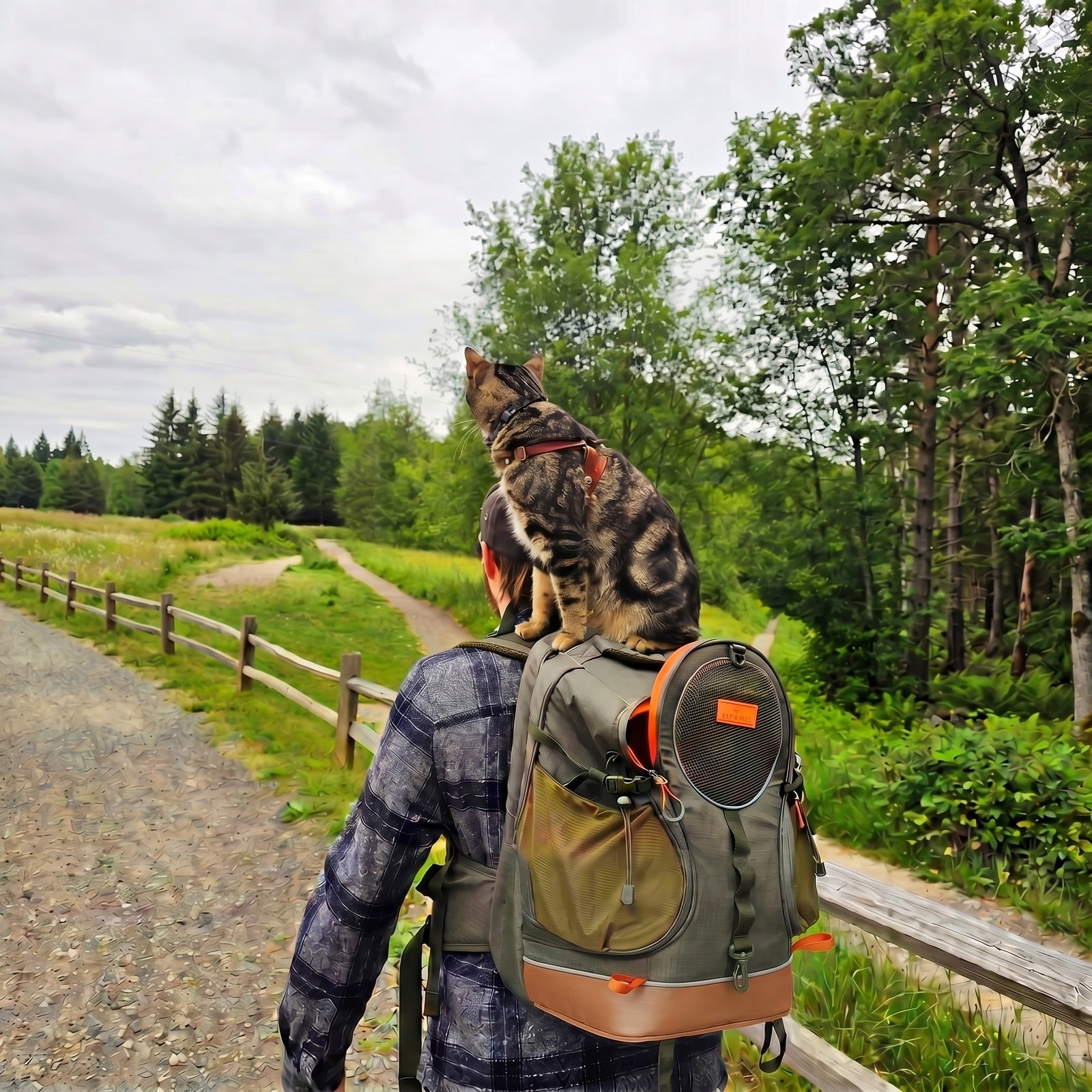 PETSFIT WILDPATH Pet Carrier Backpack for Hiking for Small Dogs & Cats