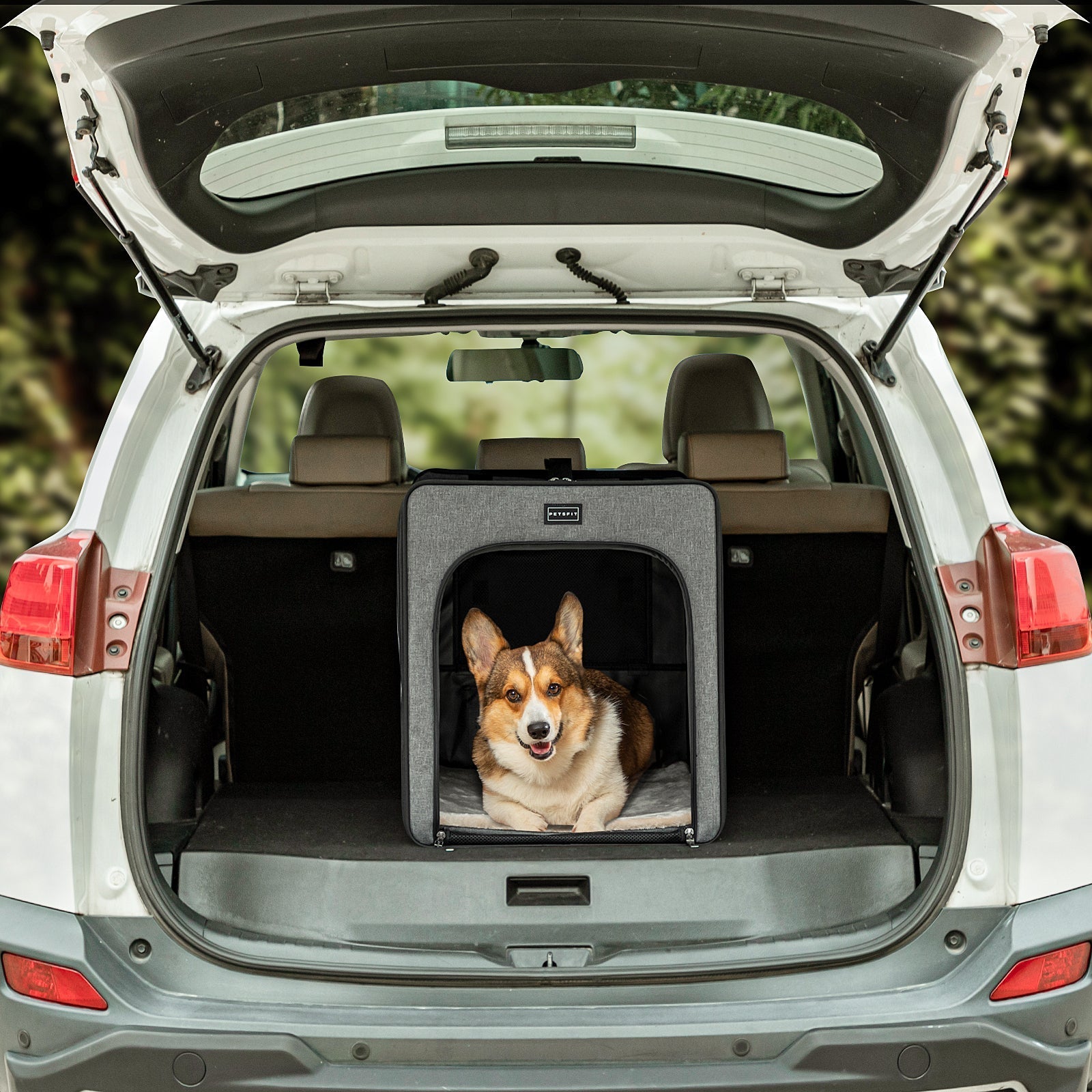 PETSFIT Sturdy Wire Frame Soft Pet Crate Collapsible for Travel