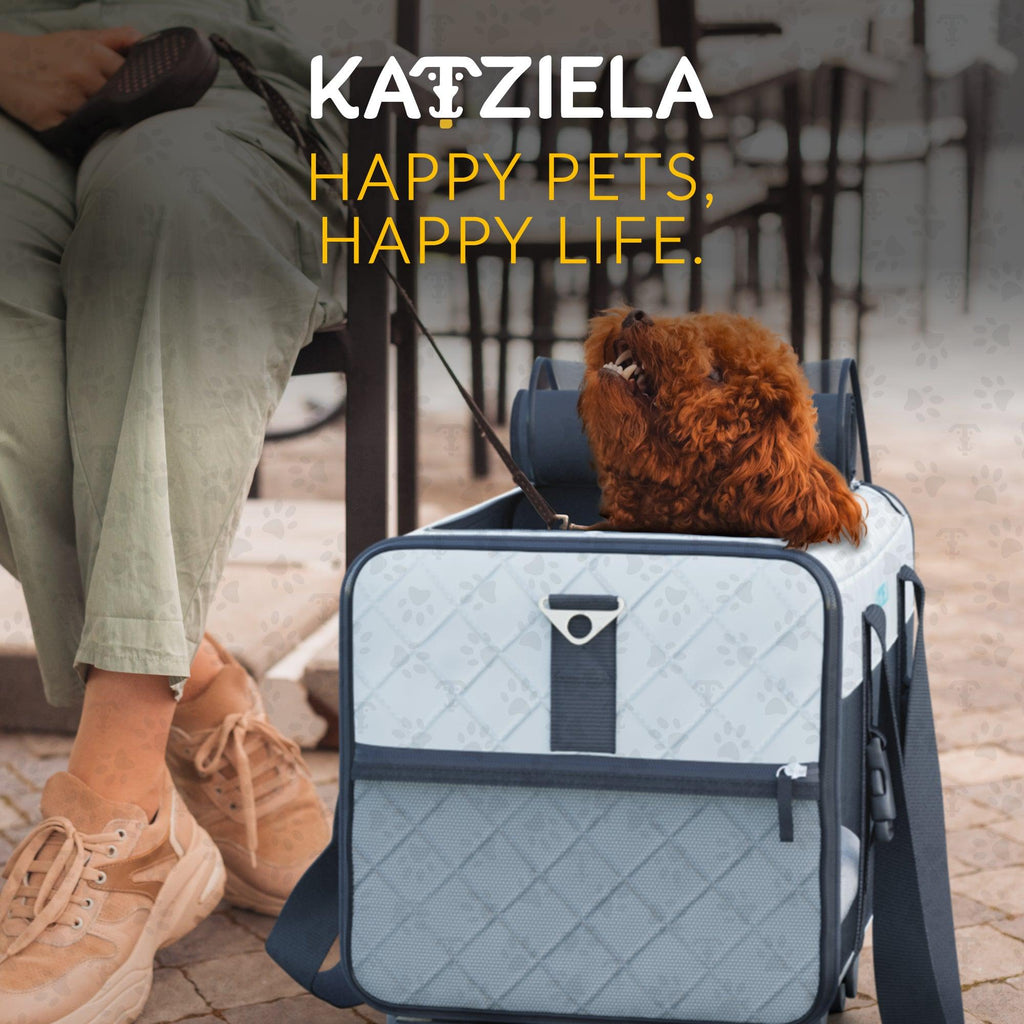 Katziela Quilted Chariot Pet Carrier With Removable Wheels and Telescopic Handle