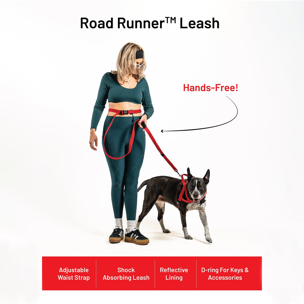 Road Runner™ Leash