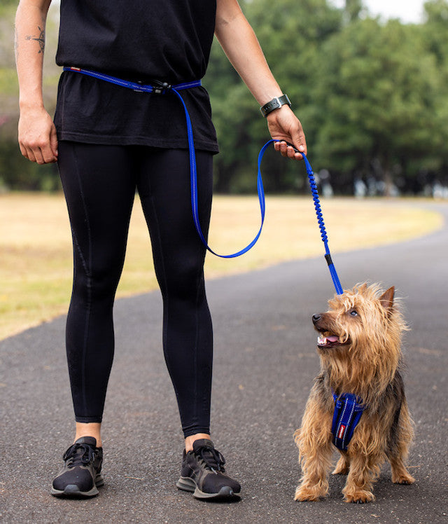 Road Runner™ Leash
