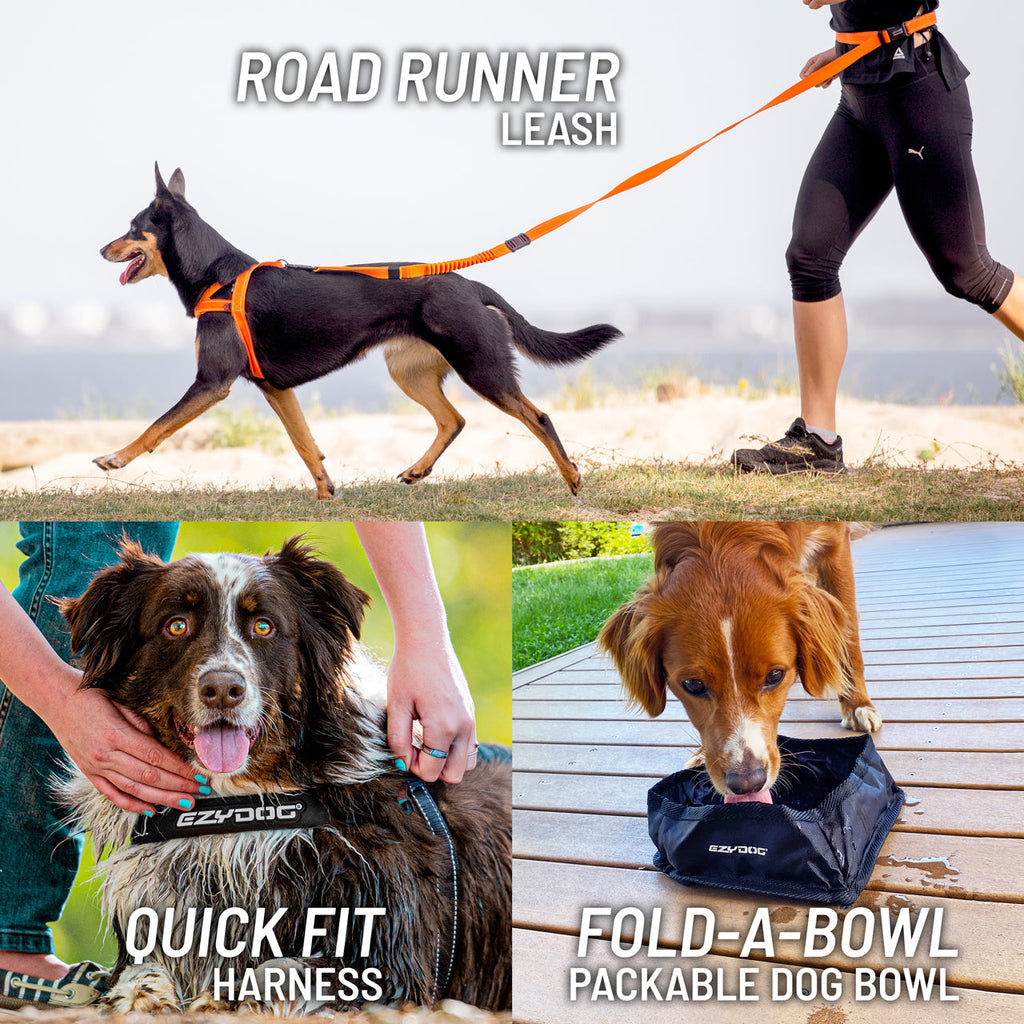 Running Bundle