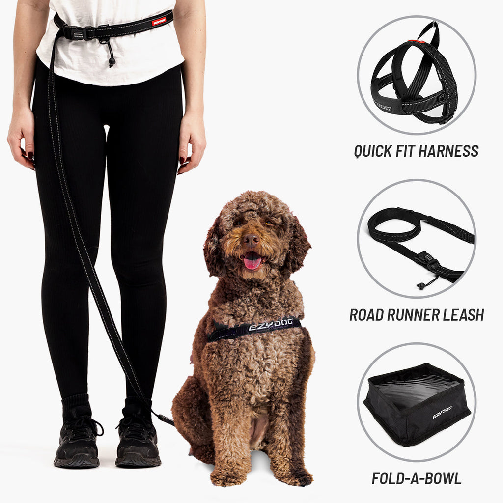 Running Bundle