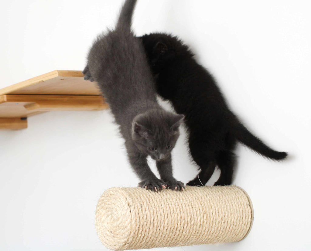 Catastrophic Creations Floating Cat Step for Wall